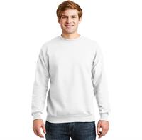 P160 - HANES ECO SMART CREWNECK SWEATSHIRT